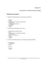 Test bank international accounting  4e ch1 