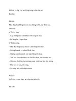 Miêu tả vẻ đẹp cây hoa hồng trong vườn nhà em 