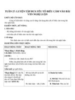 Giáo án Ngữ văn 8 bài 27: Luyện tập đưa yếu tố biểu cảm vào văn nghị luận