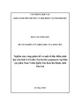 Nghiên cứu vùng phân bố và một số đặc điểm sinh học của loài Cu li nhỏ (Nycticebus pygmaeus) tại khu vực phía Nam Vườn Quốc Gia Kon Ka Kinh, tỉnh Gia Lai