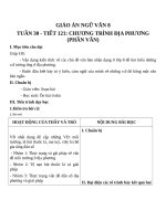 Giáo án Ngữ văn 8 bài 30: Chương trình địa phương ( phần Tiếng Việt )