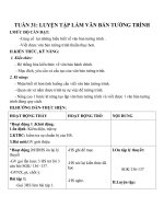 Giáo án Ngữ văn 8 bài 31: Luyện tập văn bản tường trình