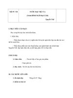 Giáo án Ngữ văn 8 bài 24: Nước Đại Việt ta (trích Bình Ngô đại cáo)