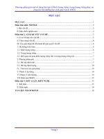 skkn phương pháp giải một số dạng bài tập về khối lượng riêng, trọng lượng riêng phục vụ công tác bồi dưỡng học sinh giỏi vật lý THCS 