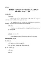 Giáo án Ngữ văn 8 bài 27: Luyện tập đưa yếu tố biểu cảm vào văn nghị luận