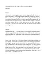 Trách nhiệm của học sinh trong vấn đề bảo vệ môi trường sống 