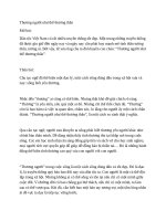 Thương người như thể thương thân 