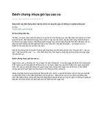 Bánh chưng nhựa giò lụa cao su