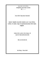 Phát triển nguồn nhân lực tại tổng công ty đầu tư và kinh doanh vốn nhà nước (SCIC) 