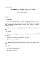 Giáo án Ngữ văn 8 bài 15: Vào nhà ngục Quảng Đông cảm tác