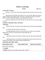 Giáo án Ngữ văn 8 bài 4: Lão Hạc