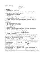 Giáo án Ngữ văn 8 bài 9: Nói quá