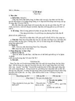 Giáo án Ngữ văn 8 bài 4: Lão Hạc