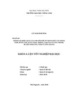 Đánh giá hiệu quả của chuyển đổi sử dụng đất cây hàng năm,rừng sản xuất sang trồng cam tại xã tân thành   huyện hàm yên   tỉnh tuyên quang 