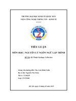 TIỂU-LUẬN-NGÔN-NGỮ-LẬP-TRÌNH_NGUYỄN-VĂN-TOÀN_11146219