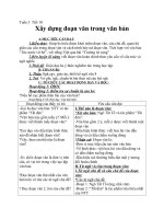 Giáo án Ngữ văn 8 bài 3: Xây dựng đoạn văn trong văn bản