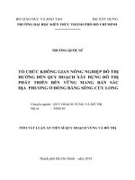 Tổ chức không gian nông nghiệp đô thị hướng đến quy hoạch xây dựng đô thị phát triển bền vững mang bản sắc địa phương ở đồng bằng sông cửu long (tt) 