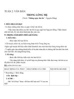 Giáo án Ngữ văn 8 bài 2: Trong lòng mẹ