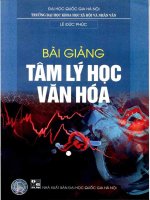 Ebook bài giảng tâm lý học văn hóa phần 1 