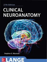 Clinical neuroanatomy 27th ed    s  waxman (mcgraw hill, 2013) 