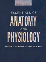 Essentials of anatomy and physiology 7th ed    v  scanlon, t  sanders (davis, 2015) 