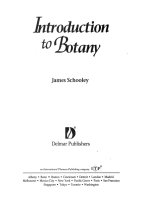 Introduction to botany   j  schooley (delmar, 1997) 