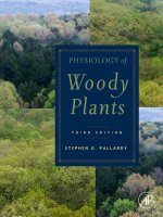 Physiology of woody plants 3rd ed    s  pallardy (elsevier, 2008) 