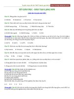 2019 sở GD đt lạng sơn 