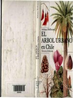 El árbol urbano en chile 3a ed    a  hoffmann (fundación claudio gay, 1998) 