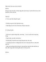 Miêu tả cây bút máy mà em yêu thích 