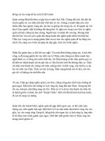 Đóng vai rùa vàng kể lại sự tích hồ gươm 