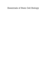 Essentials of stem cell biology 3ed 2014 