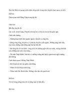 Dàn bài miêu tả quang cảnh miền sông nước trong một chuyến tham quan 