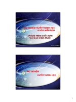 Thử Nghiệm Huyết Thanh Học Và Hóa Miễn Dịch Trong Chuẩn Đoán Nhiễm Trùng