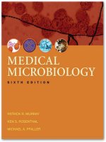 Medical microbiology 6th ed    p  murray, k  rosenthal, m  pfaller (elsevier, 2009) 