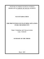 Phòng ngừa tình hình tội cướp giật tài sản trên địa bàn thành phố hồ chí minh tt tiếng anh 