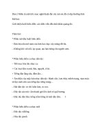 Dàn ý miêu tả một tiếc mục nghệ thuật đặc sắc mà em đã có dịp thưởng thức 