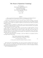 Hawking, stephen   the future of quantum cosmology 