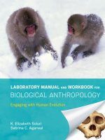 Laboratory manual and workbook for biological anthropology   k  elizabeth soluri  sabrina c  agarwal 