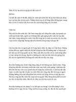 Miêu tả cây hoa đào trong dịp tết đến xuân về 