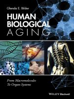 Human biological aging   from macromolecules to organ systems 