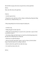 Dàn bài miêu tả quang cảnh sân bay trong một lần em đi đón người thân 