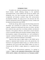 Nghiên cứu đặc điểm giải phẫu hệ thống cân cơ nông vùng mặt và mối liên quan với thần kinh mặt trên người việt trưởng thành tt tiếng anh