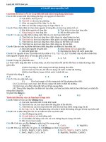 Chuyên đề Luyện thi THPTQG  Lý thuyết về kim loại kiềm thổ