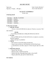 Giáo án dạy học theo hướng phát triển năng lực: Chủ đề Cacbohidrat