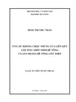 Ứng xử kháng chọc thủng của liên kết cột ống thép nhồi bê tông và sàn phẳng bê tông cốt thép 