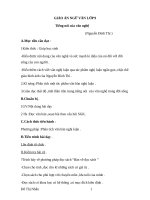 Giáo án Ngữ văn 9 bài 19: Tiếng nói của văn nghệ