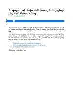 Bí quyết cải thiện chất lượng trứng giúp thụ thai thành công