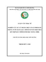 Nghiên cứu xử lý thuốc diệt cỏ glyphosate trong nước bằng quá trình fenton điện hoá kết hợp quá trình sinh học màng 