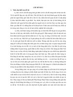 THỰC TRẠNG LY HÔN VÀ MỘT SỐ GIẢI PHÁP HẠN CHẾ LY HÔN TẠI THÀNH PHỐ PHAN RANG-THÁP CHÀM